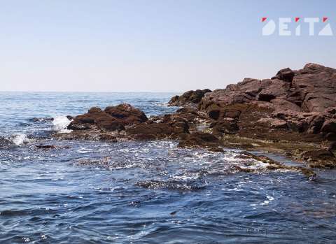 Кто ждет японцев на Курилах