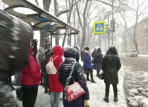 Огромные волны, метель и морозы: как замерзает Дальний Восток России