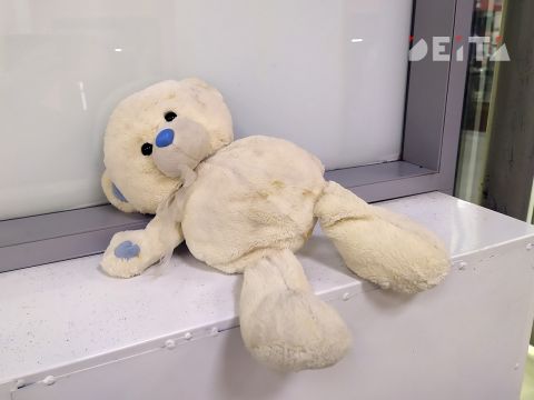 В России нет детей: эксперты бьют тревогу