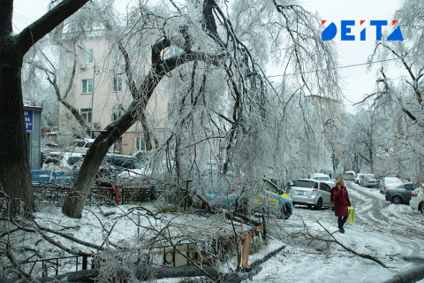 Кубай пророчит Приморью новый ледяной коллапс