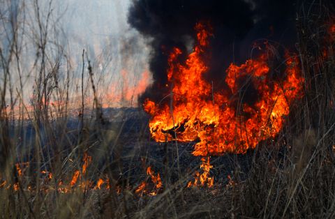 Федеральный режим ЧС ввели в Забайкалье из-за пожаров