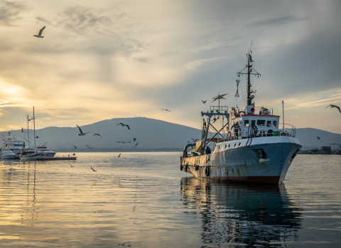 Приморские моряки застряли в Южной Корее
