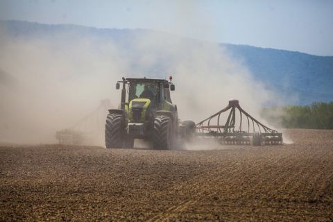 Производство культуры, устойчивой к дождям и паводкам, наращивают в Приморье