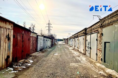 Нападение хулиганов на собаку в гаражном кооперативе расследуют полиция и прокуратура Приморья