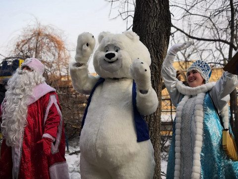 Партийная акция «Новогодние окна чудес» порадовала юных приморцев