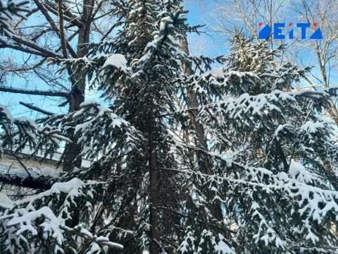 Антициклон принесет ясную, холодную погоду в Приморье