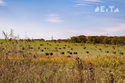 «Дальневосточные гектары» планируют объединять в поселения 