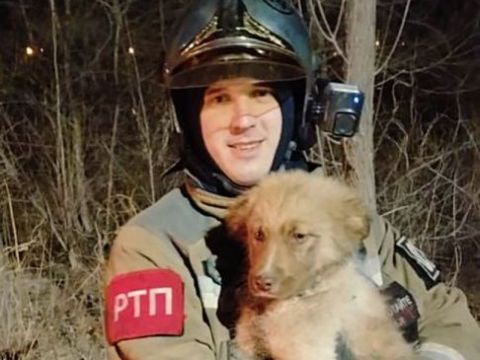 Приморские спасатели вызволили упавшего в колодец щенка и приютили