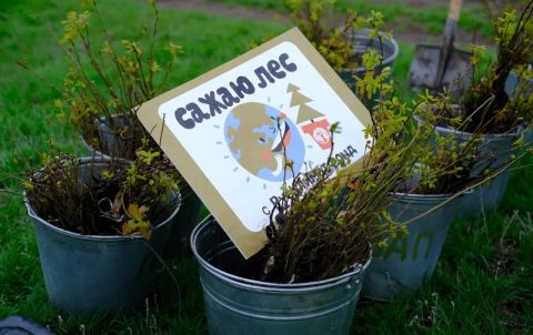 Клиенты Tele2 смогут посадить дерево онлайн