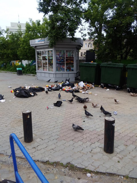 Центр Владивостока очистили от мусора благодаря соцсетям