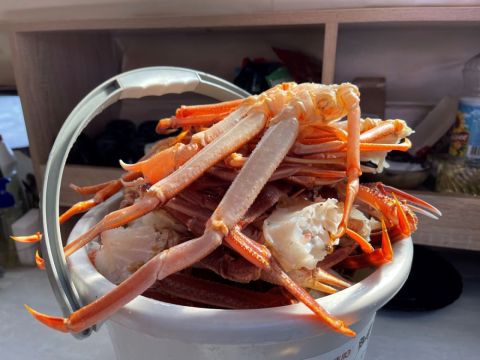 Приморским крабам ищут хозяина