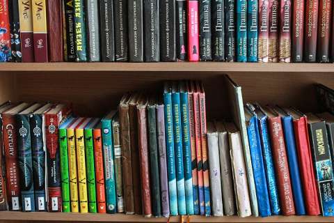 Выставка книжной иллюстрации «Курицу ЯЙЦО учило» проходит во Владивостоке