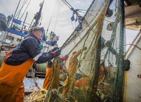 Здесь рыбы нет: эффективные собственники развалили рыбоколхозы