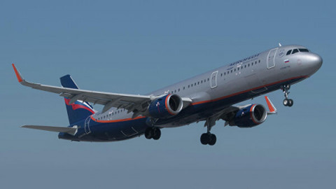 Некоторых пассажиров разрешат бить в самолете