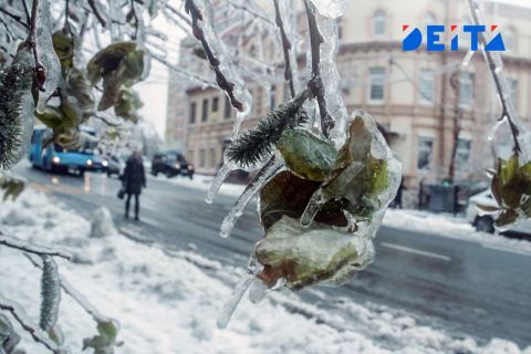 Морозная суббота ждет приморцев