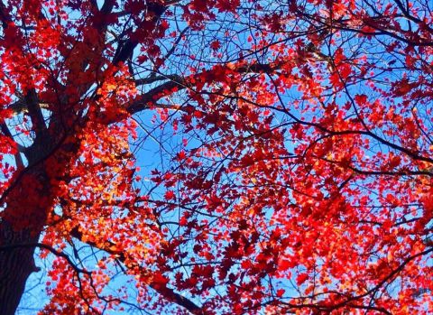 В Приморье сменится ветер, принеся тепло