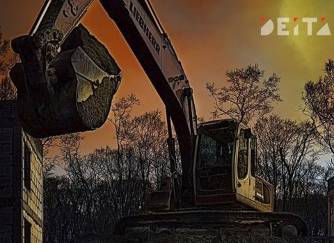 Незаконную вырубку возле объекта Владивостокской крепости пресекли горожане и чиновники