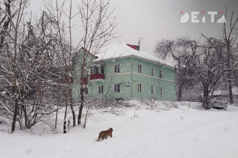 Осадки будут продолжаться в Приморье в среду