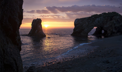 Субсидии не помогли развитию  Курил