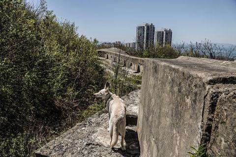 "Зачем вы это построили": высотки могут убить Владивостокскую крепость