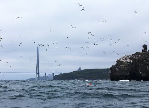 Первые ночные заморозки опустятся на Владивосток на этой неделе
