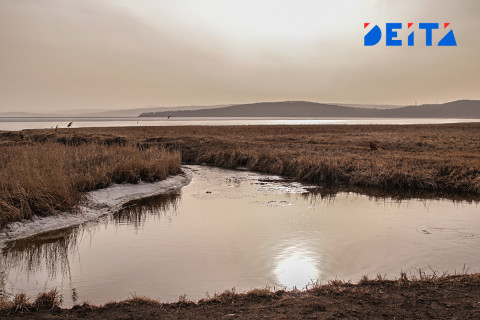 Всё больше рек губят добытчики золота в Сибири и на Дальнем Востоке