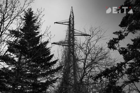Восемь населённых пунктов обесточено на юге Приморья