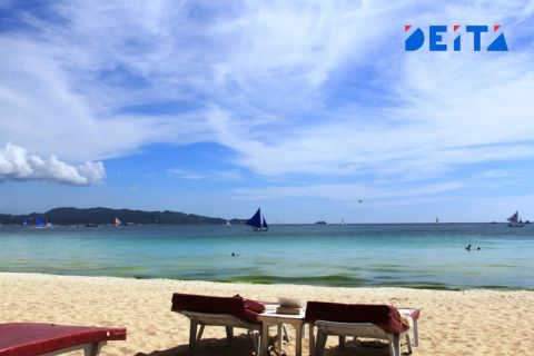 Заброшенный санаторий "Садгород" под Владивостоком вернули государству