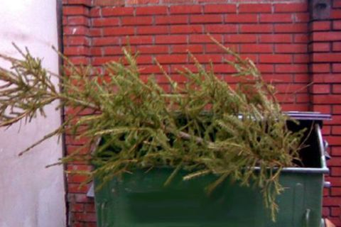 Повышение штрафов утвердили в первом чтении в Приморье 