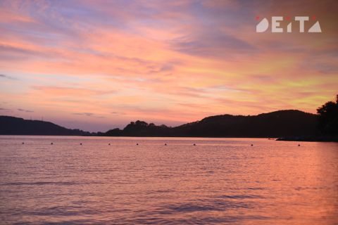 Поставки морских ежей из России в Японию достигли рекордных значений