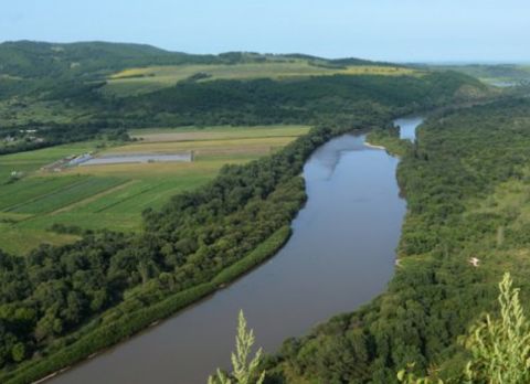 Криминал выдавят из леса