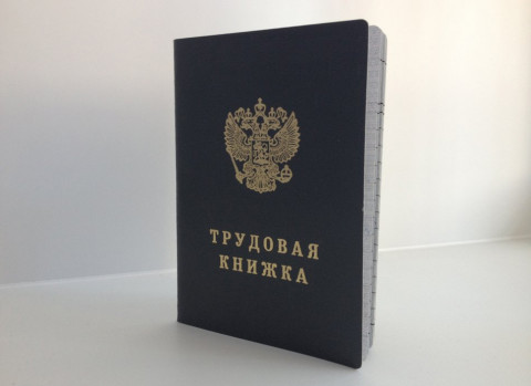 Новые трудовые книжки могут появиться в 2023 году 