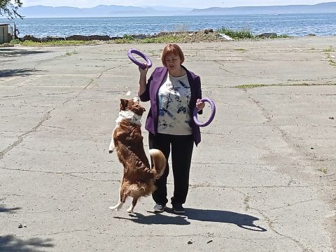 Малинуа, бордер-колли и шпиц: дети во Владивостоке знакомятся с породами собак