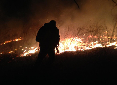 Якутских чиновников отправят тушить лесные пожары