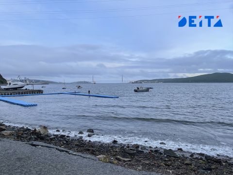 Ныряльщик чуть не погиб на острове Русский во Владивостоке