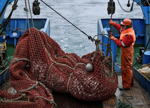 Российская рыба готовится уйти в Китай