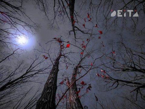 Зима в Приморье придёт без снега