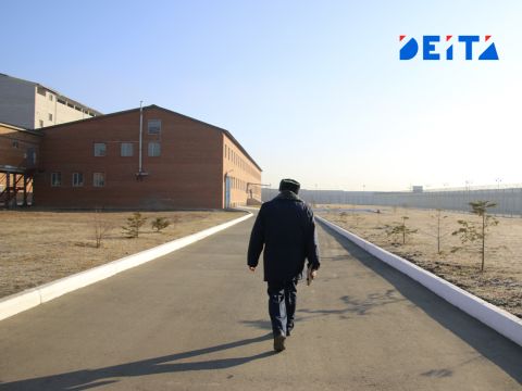 Приморского адвоката приговорили к 13 годам лишения свободы за убийство сторожа