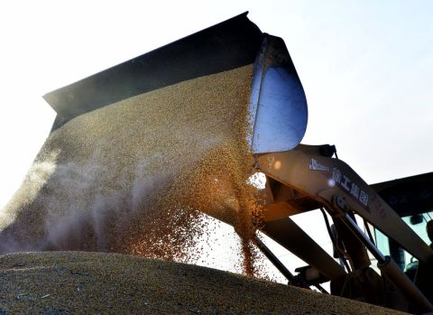 Правительство РФ направит дополнительно пять млрд рублей на льготное кредитование аграриев