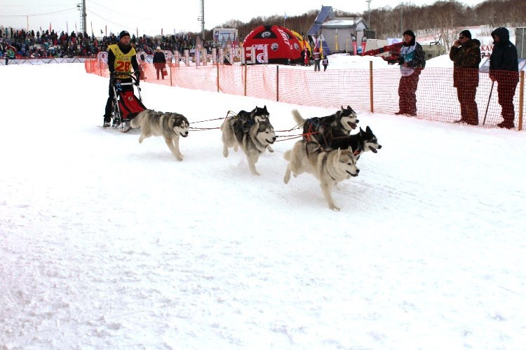 РТКОММ организовал спутниковую связь на ежегодных гонках Берингия на ...