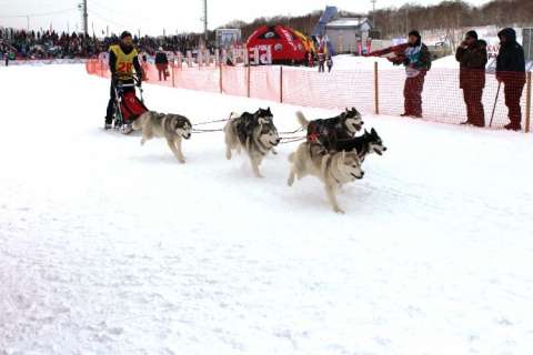 РТКОММ организовал спутниковую связь на ежегодных гонках Берингия на Камчатке