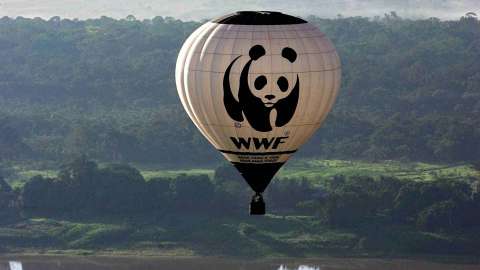 Дальний Восток объявил войну WWF