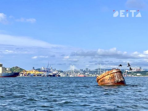 Торговый центр возведут в водоохранной зоне Владивостока