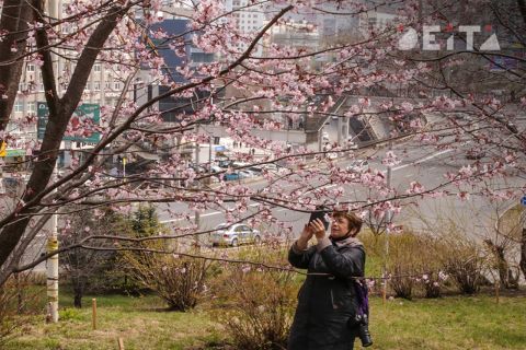 Конец мая в Приморье будет солнечным