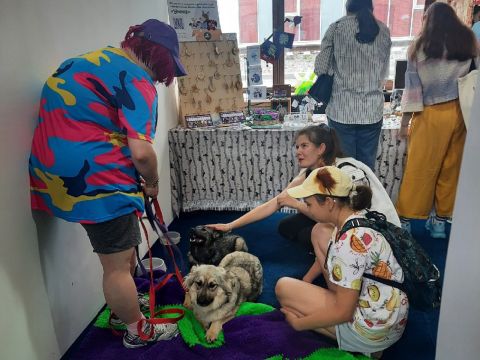 «Дорогу домой» покажут во Владивостоке гостям Дня молодёжи