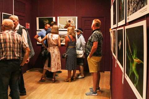 «Глубина резкости» в Приморье приглашает посетить уникальную фотовыставку