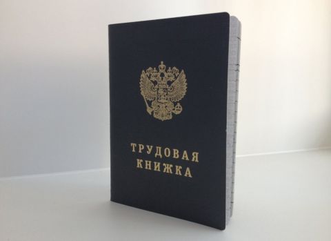 Новые поправки в Трудовой кодекс защитят россиян