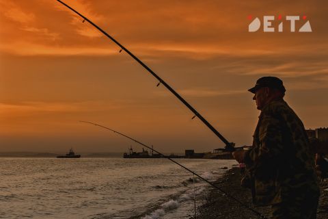 Япония заплатила России миллион за курильскую рыбу