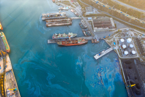 Общественники не увидели работ по ликвидации нефтяного пятна в Находке