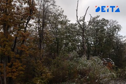 Синоптики назвали эту пятницу самой холодной с начала осени